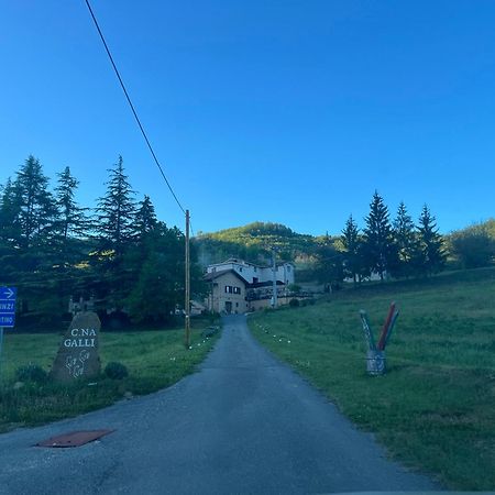 B&B Cascina Galli Merana Bagian luar foto