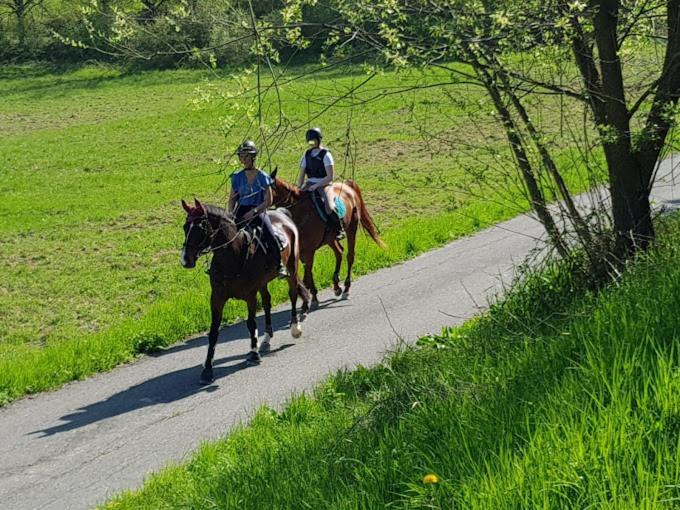 B&B Cascina Galli Merana Bagian luar foto